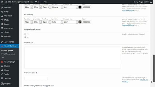 WordPress. Cherry Framework 3. Troubleshooter. How To Deal With "Lessphp Fatal Error: Expected..." смотреть онлайн
