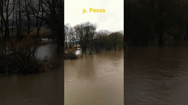 река Ресса в Калужской области! #река #половодье #калужскаяобласть #весна смотреть онлайн