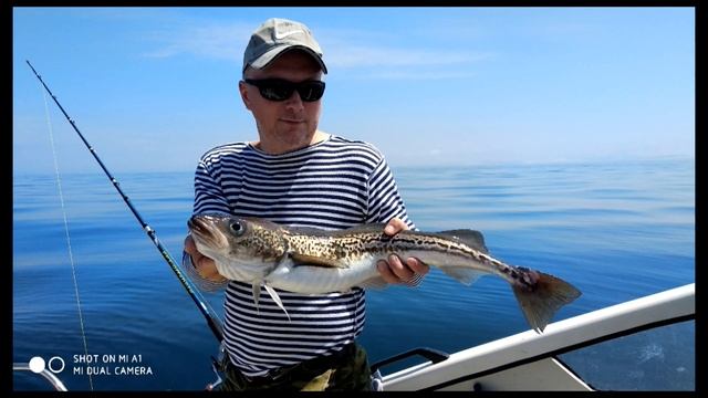 Рыбалка Владивосток Катран, камбала, минтай Fishing Vladivostok 06/23/2019 Katran, Flounder, Polloc