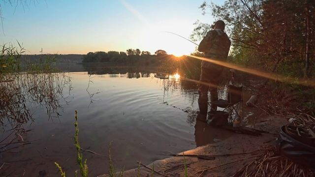 СИДЕЛ В ВОДЕ, ЧТОБЫ НЕ СОЖРАЛИ. Рыбалка 2022 на фидер. Муравьиные острова. смотреть онлайн