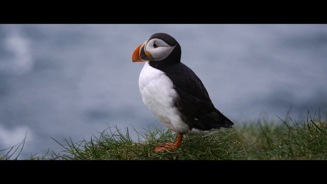 ИСЛАНДИЯ смотреть онлайн