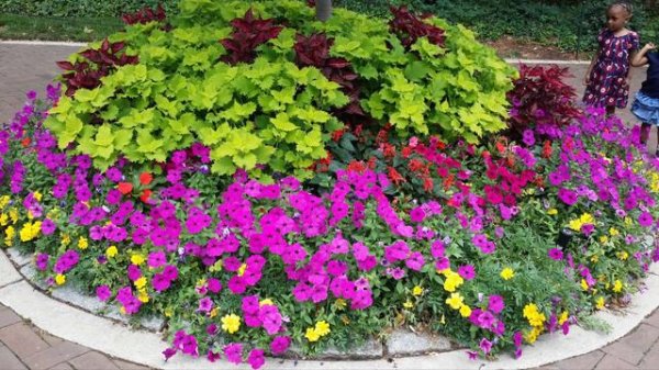 Violin, Viola, Cello | Arshak Andriasov: Suite | Santos, Romasevich, Rhodes | #violin #viola #cello