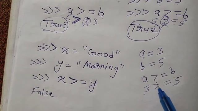Relational Operators in Python || Class 11 IP & CS CBSE смотреть онлайн