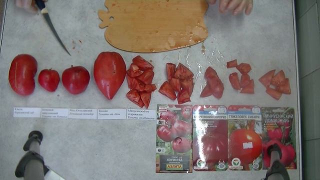 Дегустация  36. Девять сортов томатов в октябре.