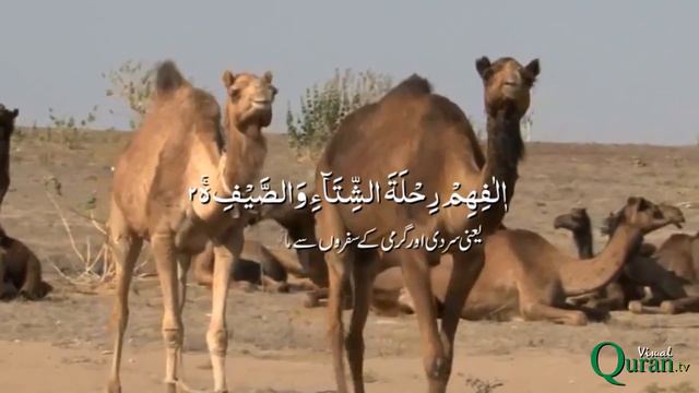 106 Surah Quraish | Para 30 | Visual Quran with Urdu Translation смотреть онлайн