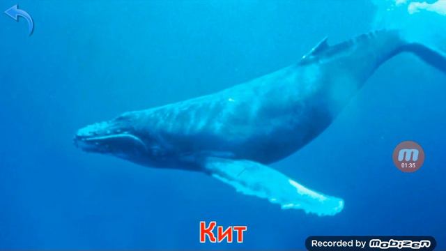 Мир воды номер 6!