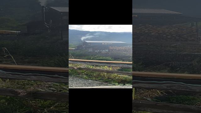 Град в Августе на Красной Поляне. смотреть онлайн