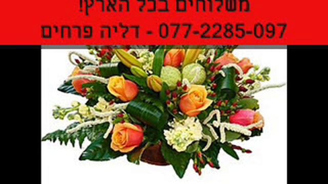 משלוח פרחים צפת - 077-2285-097 - דליה פרחים - смотреть онлайн