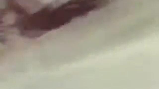 Орел напал на лису смотреть онлайн