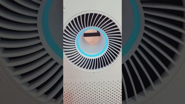 PENAPIS UDARA COWAY STORM VS LOMBOK 3! COMPARISON BASIC FEATURES STORM VS LOMBOK 3. MANA YANG BAGUS смотреть онлайн