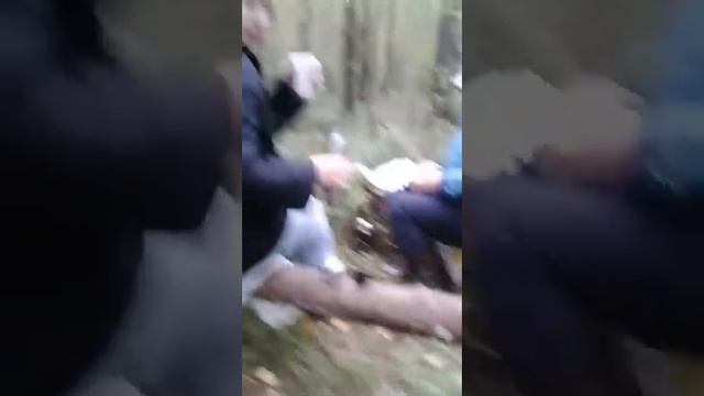 ВЛОГ Сходили в лес смотреть онлайн