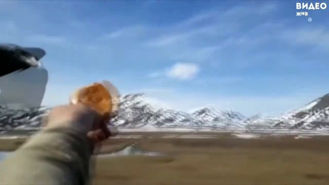 Ворон на лету выпросил пирожок у водителя смотреть онлайн