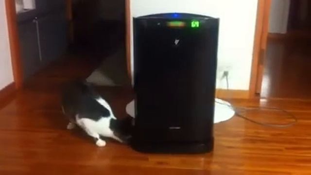 tama vs Plasmacluster смотреть онлайн