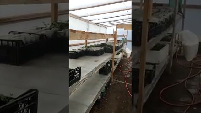 туманообразователи фогеры с Алиэкспресс смотреть онлайн