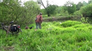 Новое дикое микроозерцо с крупной рыбой