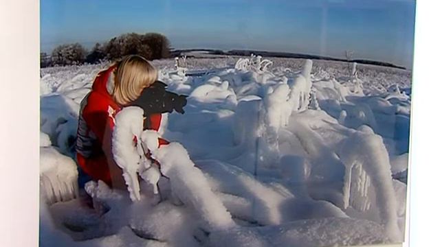 3 - Фотовыставка «Энтузиазм фотографов — охране природы» смотреть онлайн