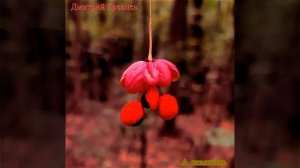 Дмитрий Гревцев - А помнишь