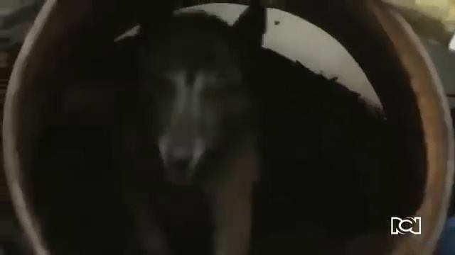 A Corazón Abierto 2 - Capitulo 23. смотреть онлайн