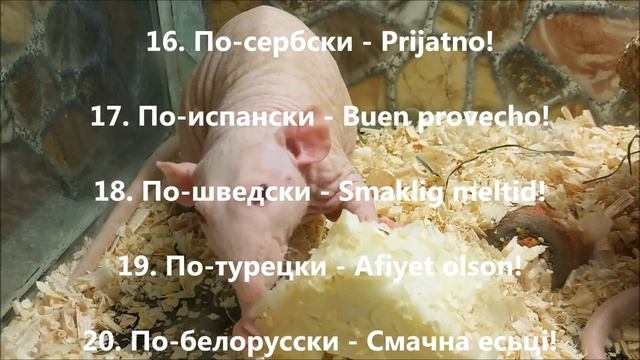 Как сказать "Приятного аппетита" на 24 языках??? смотреть онлайн