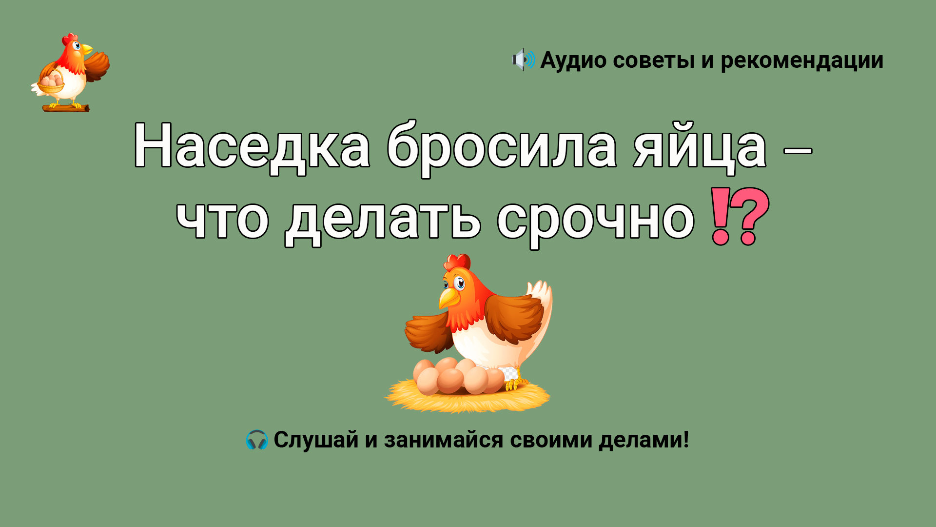 Наседка бросила яйца – что делать срочно ????❓ смотреть онлайн