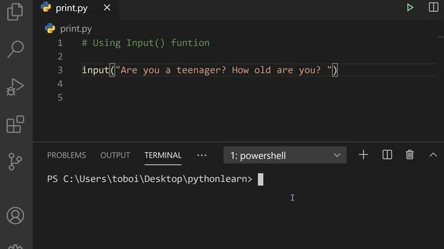 13 - Python Print and Input Functions() смотреть онлайн