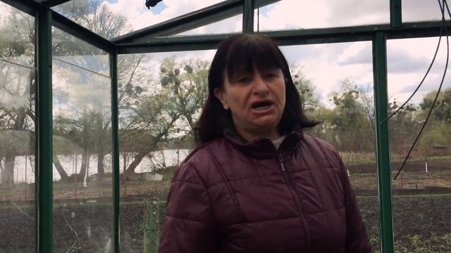 Теплица в начале апреля. (редис, пекинская капуста и лук) смотреть онлайн
