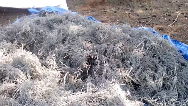 Полынь для ванн смотреть онлайн