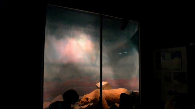 2015.Мурманск.музей.Северное Сияние смотреть онлайн