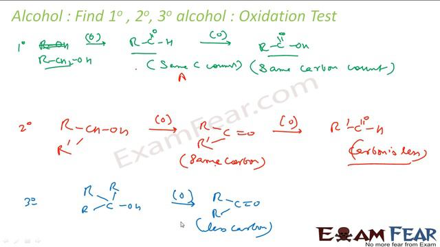 Chemistry Alcohol, Phenol & Ether part 15 (Alcohol test) CBSE class 12 XII смотреть онлайн