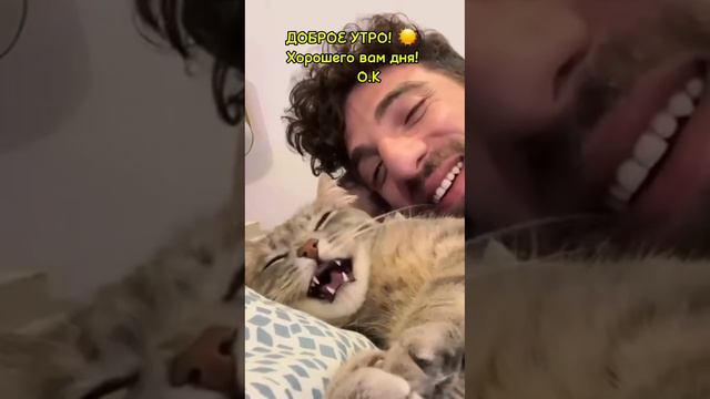 🥰🤣💯 смотреть онлайн