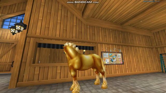 Обзор моих лошадей в star stable! смотреть онлайн