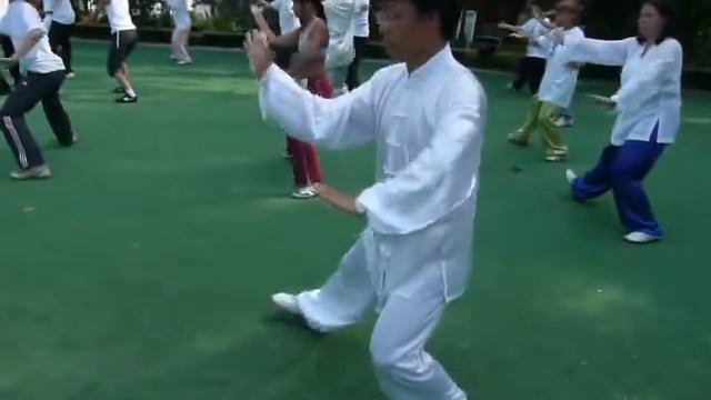 83 формы Чэнь.