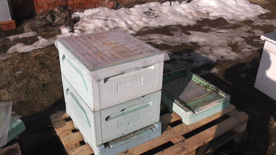 выставляю двухкорпусные руты