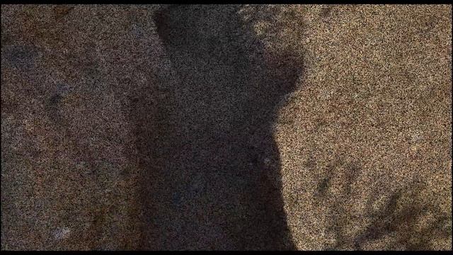 CAMARA CON SUPER ZOOM NIKON P950!!! смотреть онлайн