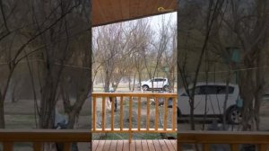 Дом в стиле Барн-хаус 60 кв м, установлен в Усть-Лабинском районе