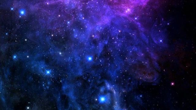 Почему хомяк КУСАЕТСЯ?!?? | 5 причин, почему вас укусил хомяк | ? Varya & Hamster ? смотреть онлайн