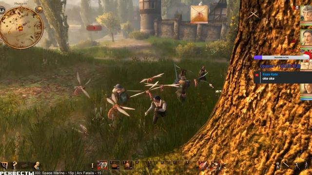 Drakensang: The River of Time (Yettich) часть 3 - Огненные Мухи, Тролли, Богумил смотреть онлайн