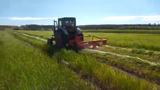 Косилка роторная в работе. Павлодарская область смотреть онлайн