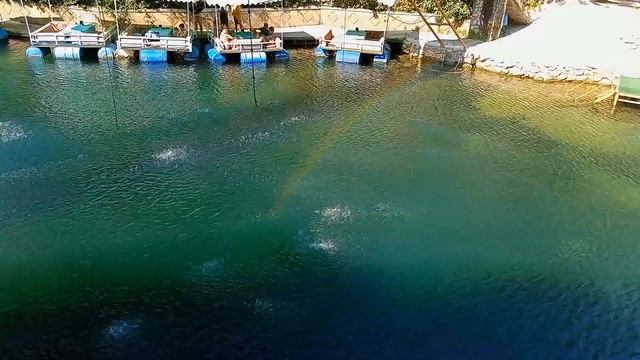 Отзыв о ресторан Дим Чай Dim Çayı, Cennet Vadisi, Klas piknik restaurant смотреть онлайн