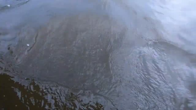 Пасхальная рыбалка на Оке под Серпуховом 2019. Христос Воскрес!!!!!