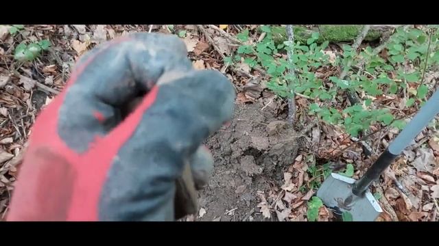 Немецкий хутор с пихтами/коп по войне/Калининградская обл./Metal DetectingWW2 смотреть онлайн