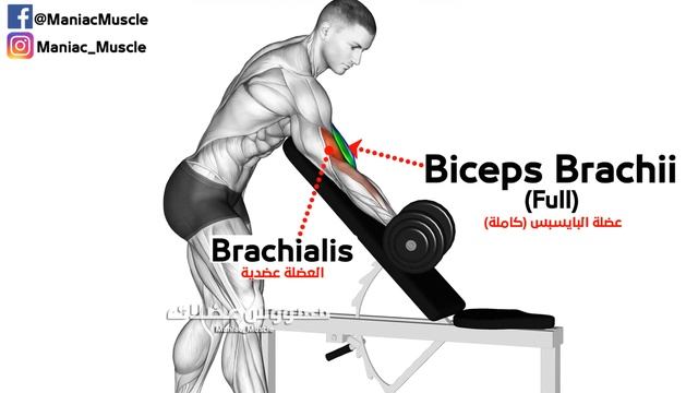 BEST 6 EXERCISE TO BUILD YOUR BICEPS ? عضلة البايسبس بهذه التمارين الرائعة