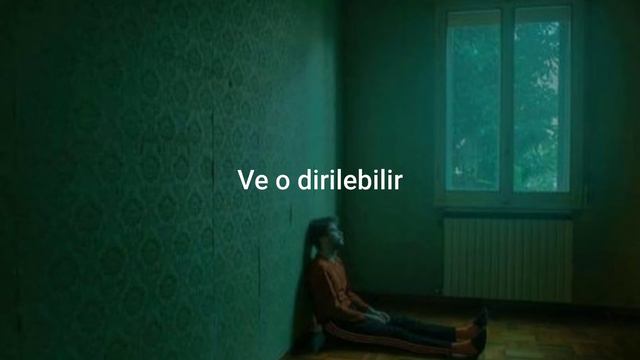 Damien Rice(Elephant) Türkçe Çeviri #ölümefısıldayanadam смотреть онлайн
