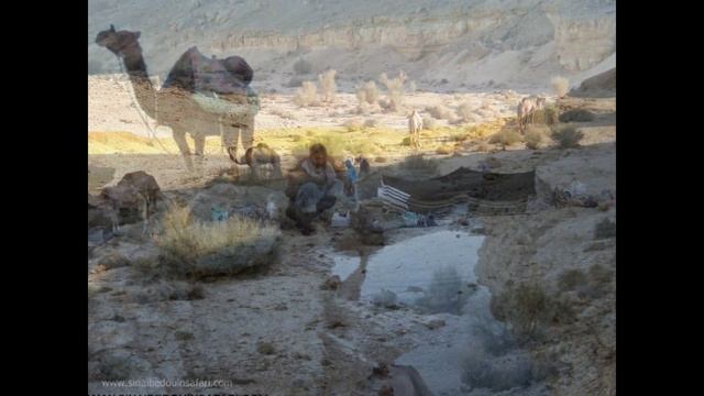 Sinai Bedouin Safari, Dahab, South Sinai, Red Sea, Egypt смотреть онлайн