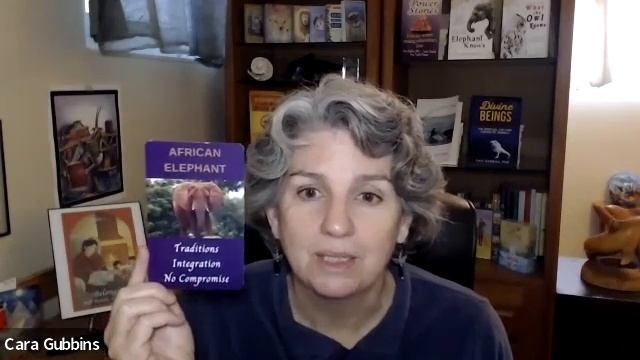 January 2022 Forecast with Animal Wisdom Oracle Cards смотреть онлайн