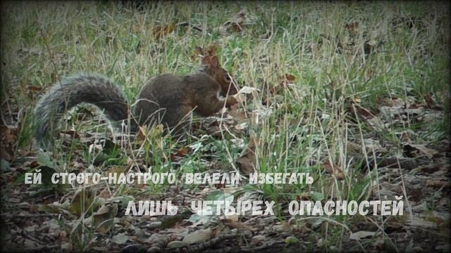 Буктрейлер «Рони, дочь разбойника» смотреть онлайн