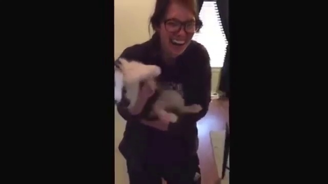 Когда не умеешь выть, но очень стараешься смотреть онлайн