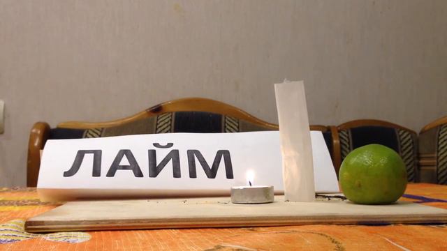 Цитрусовые и свечка (Цитрусовый чемпионат Часть II): Вера и Дракончик смотреть онлайн