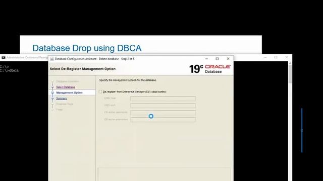 Oracle Database 19c deletion смотреть онлайн