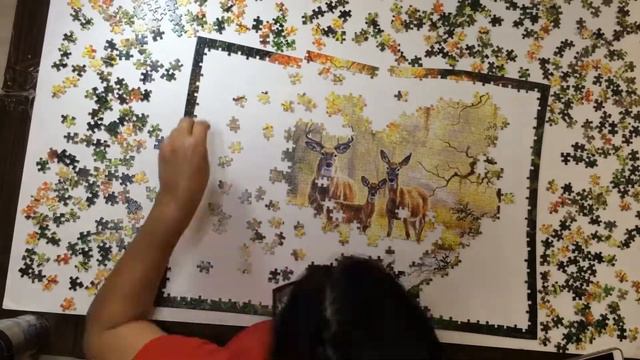 Puzzle Castorland Royal Family 1000 pieces смотреть онлайн